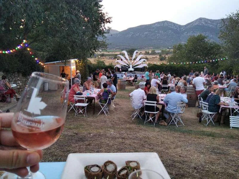Soiree evenement au domaine au coucher du soleil : main tenant un verre de rose grave au logo Blancardy au premier plan, nombreux convives attables sur la pelouse, scene de concert, guirlandes lumineuses et montagnes des Cevennes en fond. Tres chaleureux et humain.
