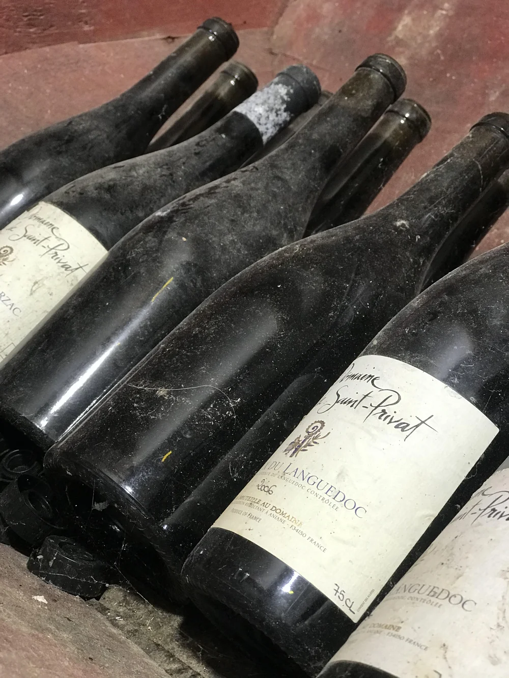 Plusieurs bouteilles poussiéreuses du Domaine Saint-Privat (AOC Languedoc / Terrasses du Larzac, millésime 2006) couchées et vieillissant dans la cave. Image lifestyle authentique.