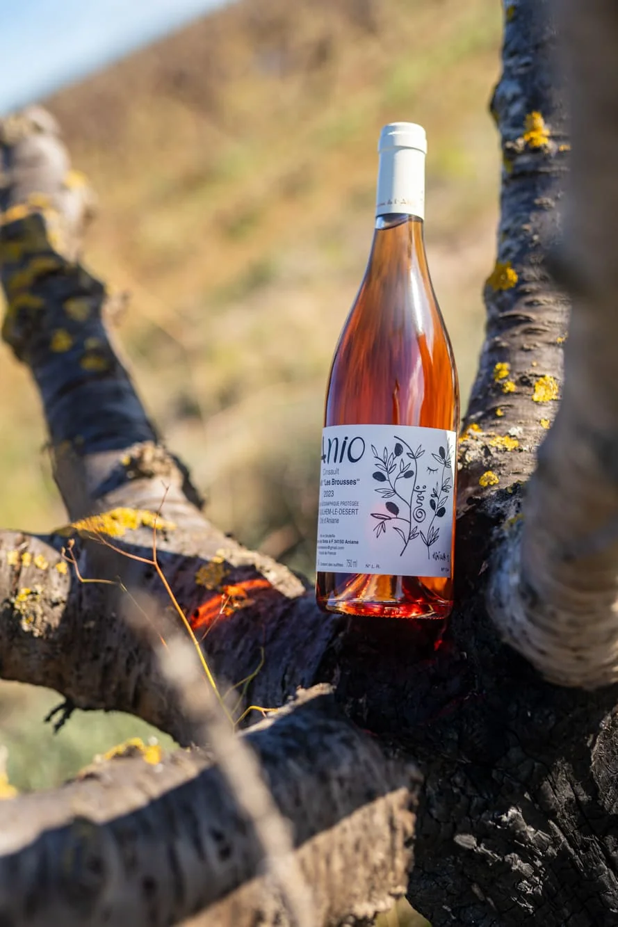 Packshot lifestyle de la cuvée 'Les Brousses' rosé 2023 (Cinsault) calée dans un bois de vigne, lumière dorée, vignoble flou en arrière-plan. Étiquette illustrée d'un dessin végétal. Source : page /nos-vins.