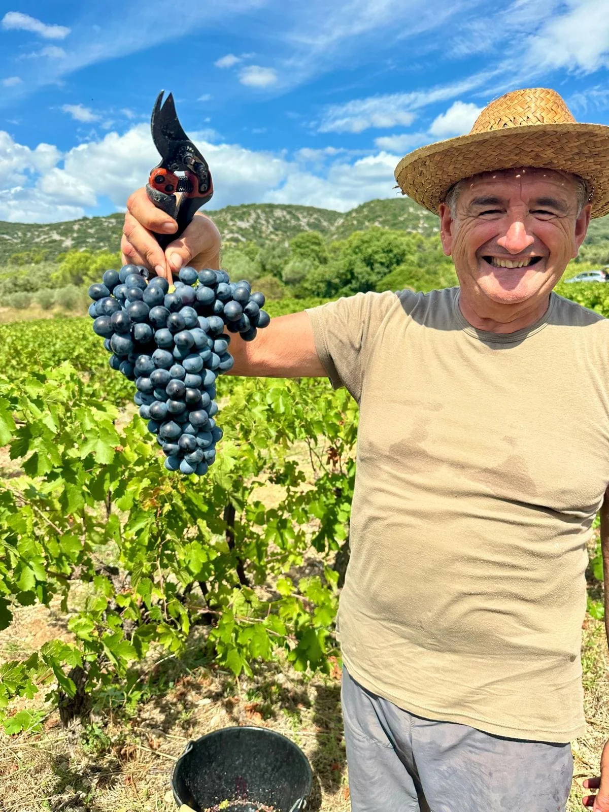 Domaine de l'Anio — humain