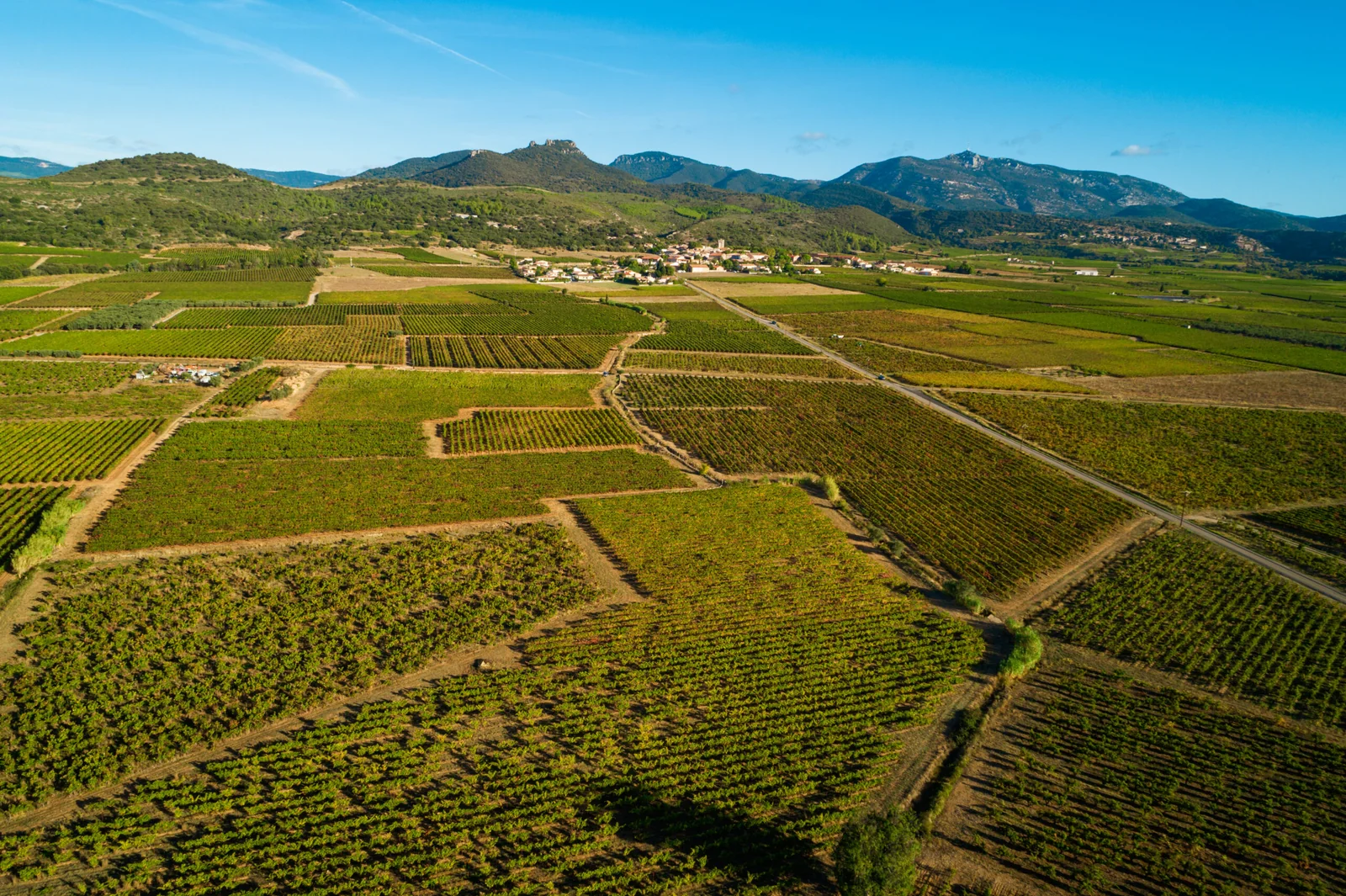 Domaine de l'Argenteille — paysage