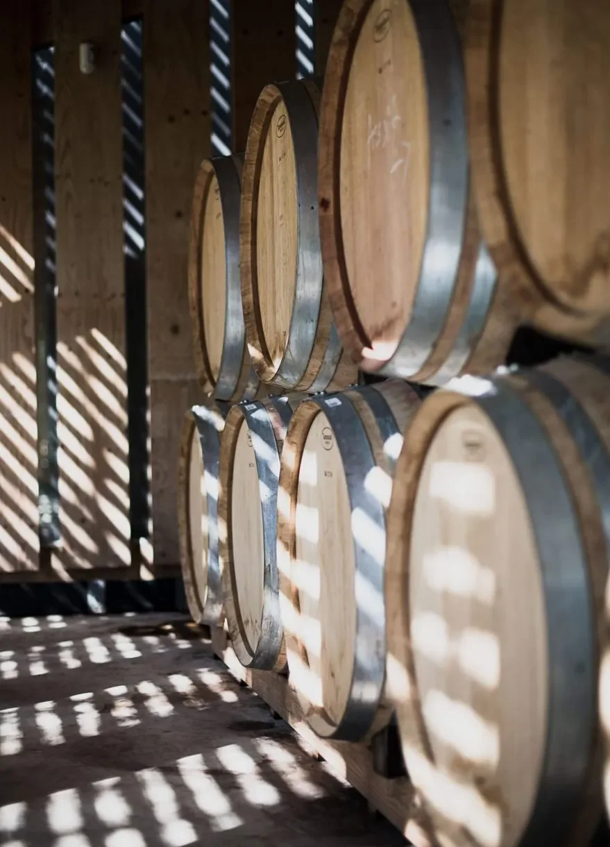 Domaine de l'Hortus — cave