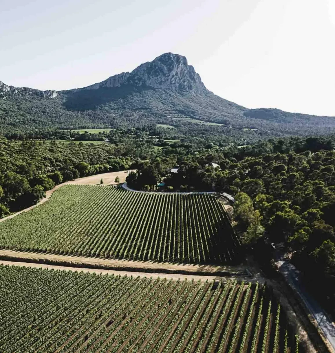 Domaine de l'Hortus — paysage
