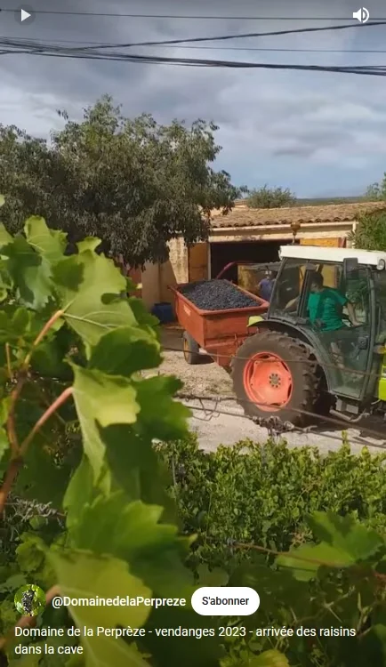 Arrivee des raisins dans la cour de la cave : tracteur tirant une benne pleine de grappes, batiment et figuier, lors des vendanges 2023 (capture story Instagram avec bandeau). Scene de vie du domaine.