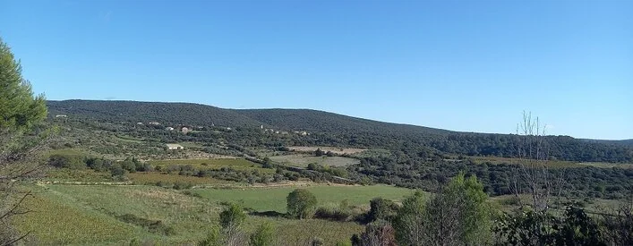 Vaste panorama du terroir de Puechabon : garrigue, vignes et reliefs boises sous un grand ciel. Vue d'ensemble du paysage viticole.