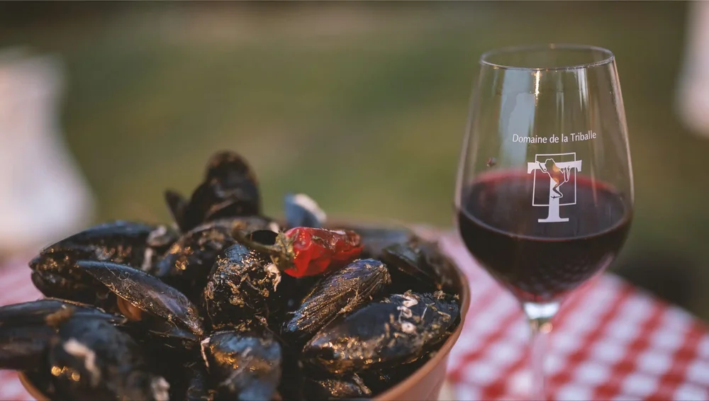 Photo lifestyle au couchant : verre de vin rouge grave 'Domaine de la Triballe' (logo grenouille) a cote d'un bol de moules sur une nappe vichy rouge. Accord mets-vin tres appetissant et fortement valorisant.