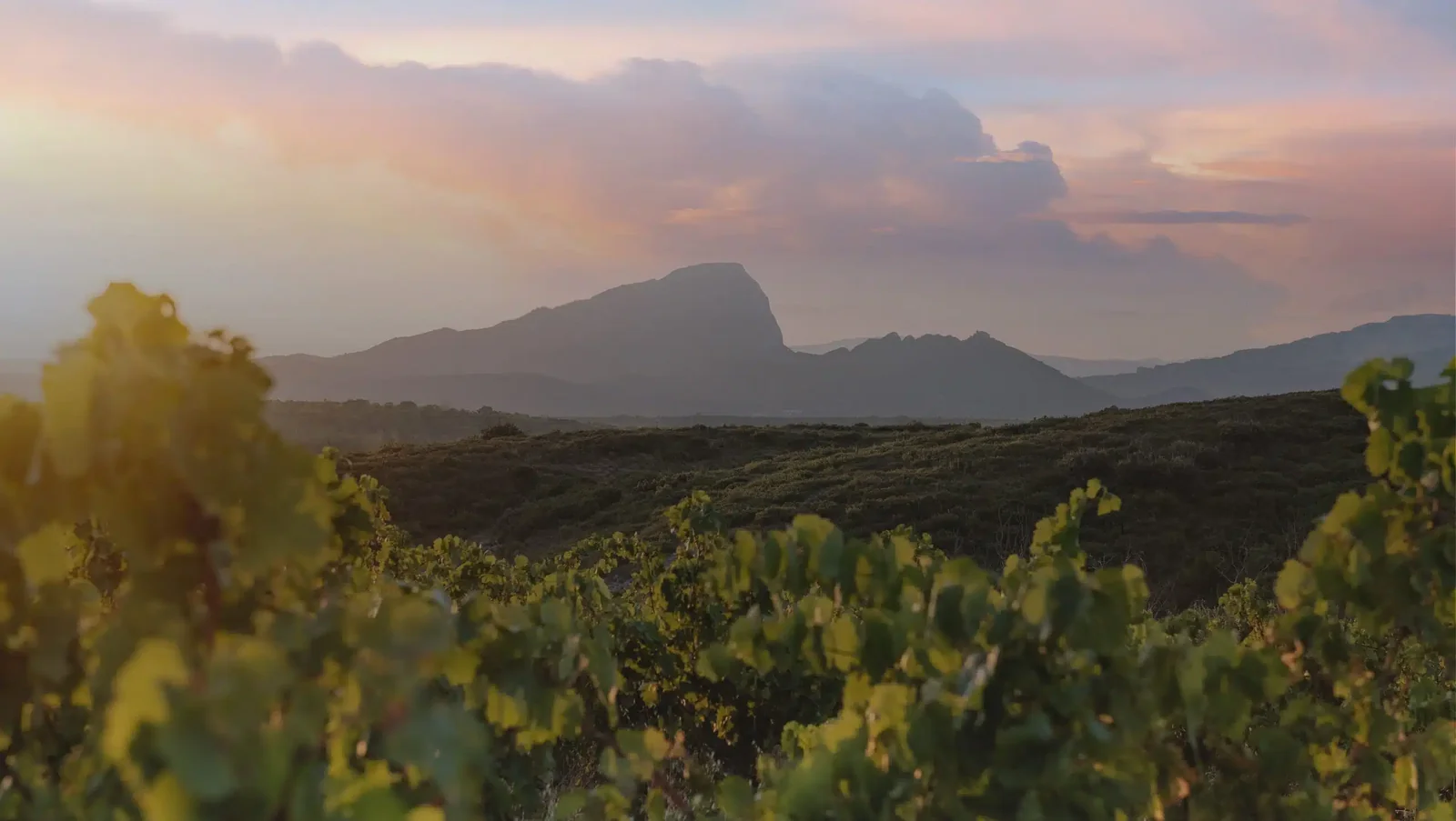 Domaine de la Triballe — image