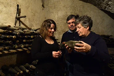 Portrait de la famille de vignerons (trois personnes, deux générations) dans le caveau/cave aux vieilles bouteilles, examinant une bouteille ancienne. Scène humaine authentique et chaleureuse, forte valeur de confiance — humain rare et précieux.