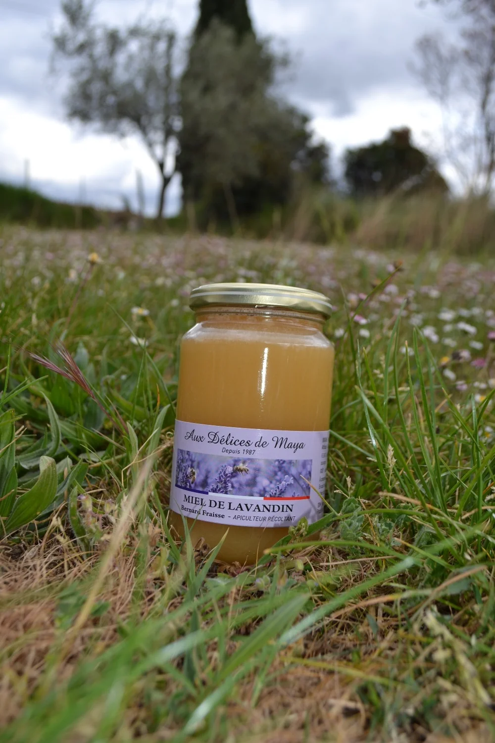 Pot de miel 'Miel de Lavandin - Bernard Fraisse, apiculteur recoltant' pose dans une prairie. Produit annexe du domaine.