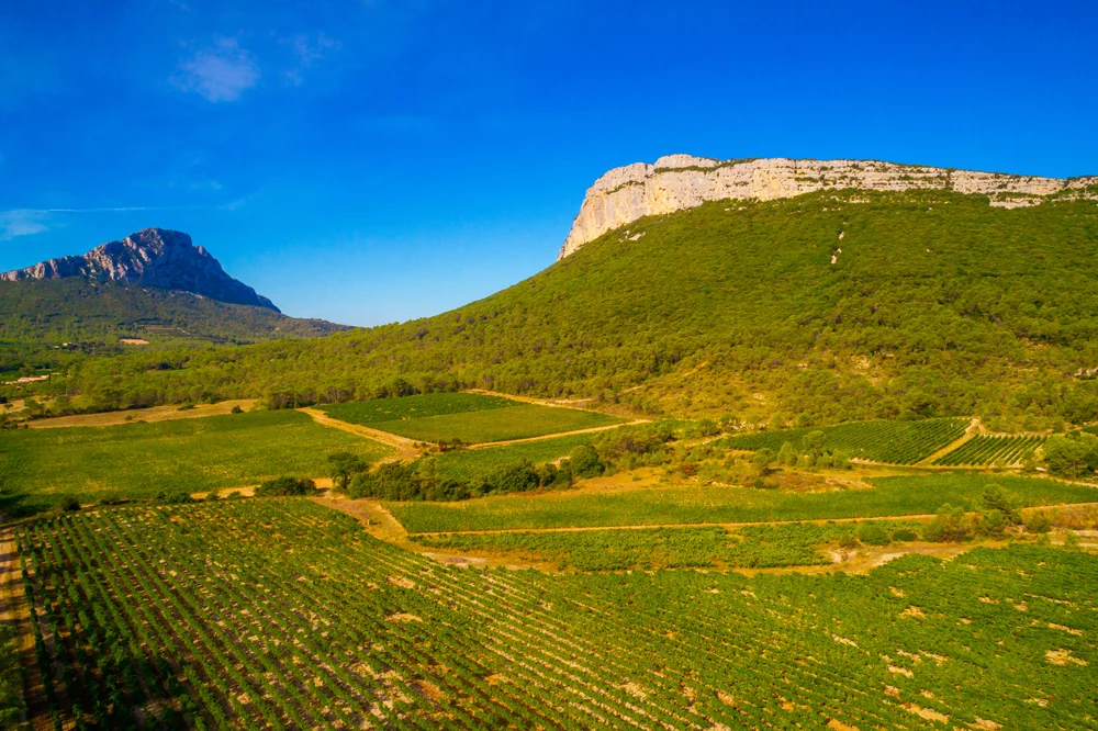 Vue aerienne spectaculaire : les parcelles de vignes s'etendent au pied de la falaise calcaire (Pic Saint-Loup / Hortus), ciel bleu profond. Panorama terroir tres valorisant.