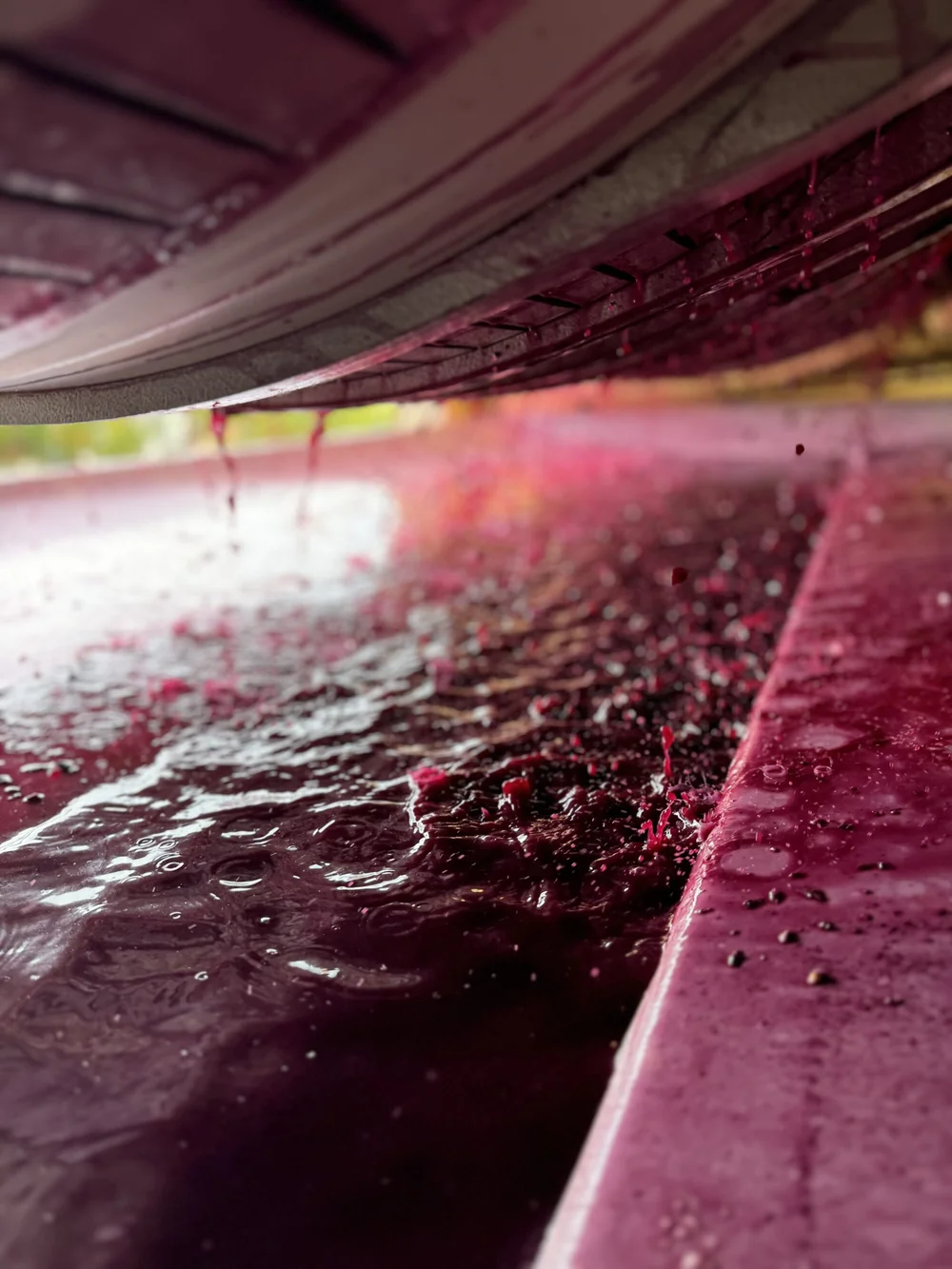 Macro artistique du mout rouge s'ecoulant et formant des flaques lors du pressurage/decuvage, tons magenta riches, gouttelettes. Gros plan de vinification atmospherique fort.