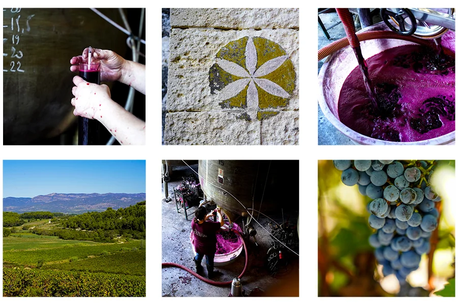 Montage/mosaïque de 6 vignettes du domaine : mains tenant une éprouvette de moût près d'une barrique, rosace de pierre sculptée (emblème), remontage de cuve (jus pourpre), panorama de vignes vallonnées, vigneron au travail à la cuve, et grappe de raisin noir. Visuel composite authentique du domaine,