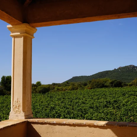 Vue des vignes vertes encadree par l'architecture en pierre du mas (pilier sculpte et auvent), avec le Mont Saint-Baudille / reliefs au fond sous un ciel bleu intense. Allie batiment du domaine et paysage de vignoble : tres evocateur.