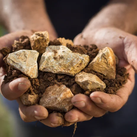Gros plan de deux mains burinees tenant une poignee de terre et de cailloux calcaires blancs du causse. Image humaine et terroir tres forte qui illustre le sol calcaire d'altitude (320 m) et le travail de la terre ; cree de la confiance.