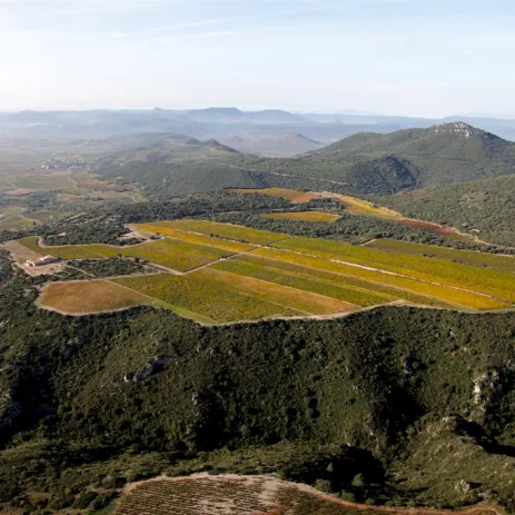 Vue aerienne magnifique du vignoble du Causse d'Arboras : les parcelles de vignes dorees d'automne forment un plateau au coeur de la garrigue et des reliefs boises du Larzac, avec les contreforts montagneux a l'horizon. Panorama de terroir tres valorisant, parfait pour une banniere ou page d'accueil