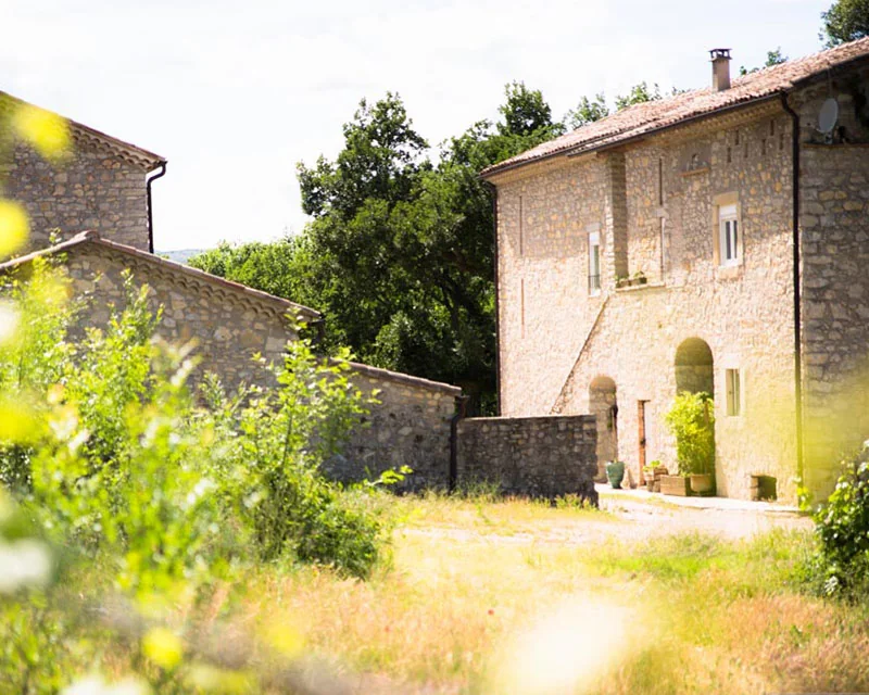 Le mas en pierre du domaine : batiment principal a deux niveaux avec porche en arc, dependances, mur de pierres seches, vegetation sauvage et fleurs jaunes en flou au premier plan. Authentique batisse languedocienne, tres chaleureux ('le domaine').
