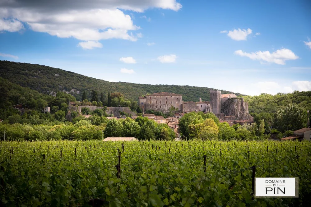 Panorama superbe : rangees de vignes en premier plan, et au fond le chateau medieval de Laroque perche sur son rocher avec le village, sous un ciel bleu et collines boisees. Tres valorisant, ancrage territorial fort. Petit logo Domaine du Pin incruste en bas a droite.