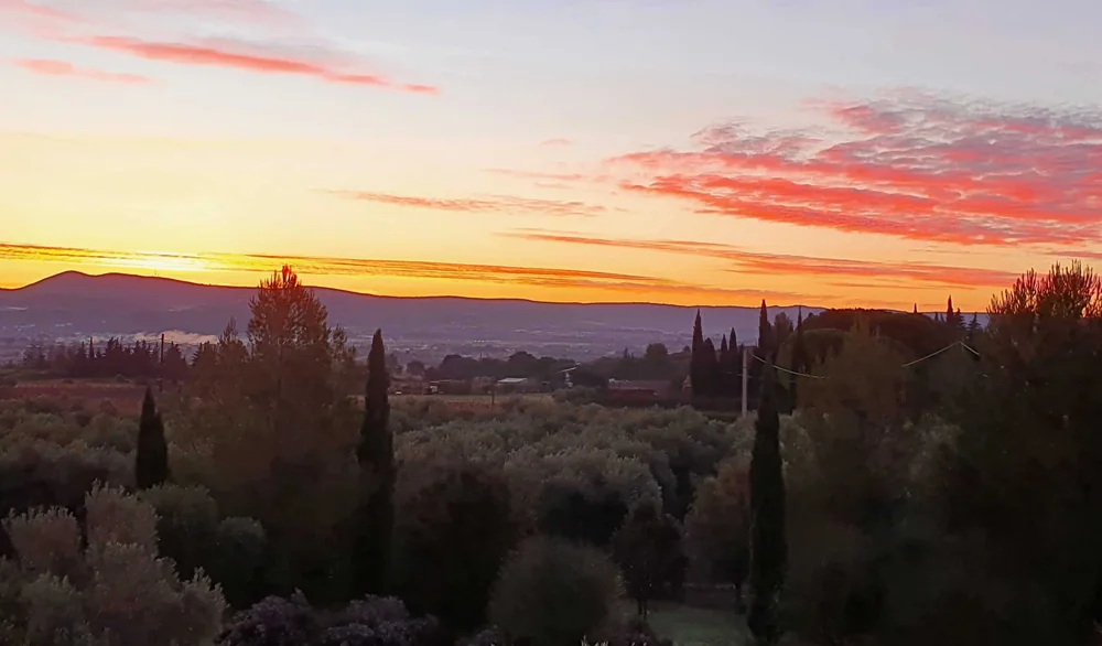 Magnifique panorama au coucher du soleil sur le terroir des Terrasses du Larzac : ciel embrase rose/orange, silhouettes de cypres et oliviers au premier plan, collines et plaine viticole en contrebas, montagnes a l'horizon. Composition spectaculaire, image d'ouverture ideale pour une page d'accueil.