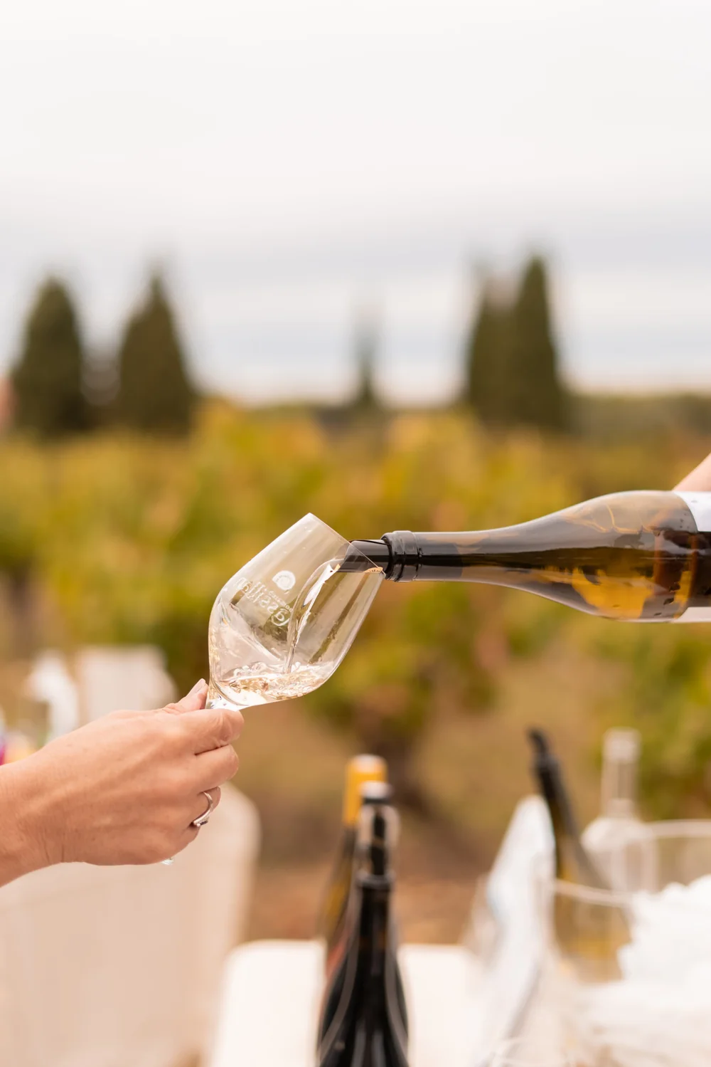 Service de vin blanc : une main verse depuis la bouteille dans un verre grave Massillan tenu par une autre main, vignes et cypres flous en arriere-plan, seau a champagne devant. Lifestyle elegant.