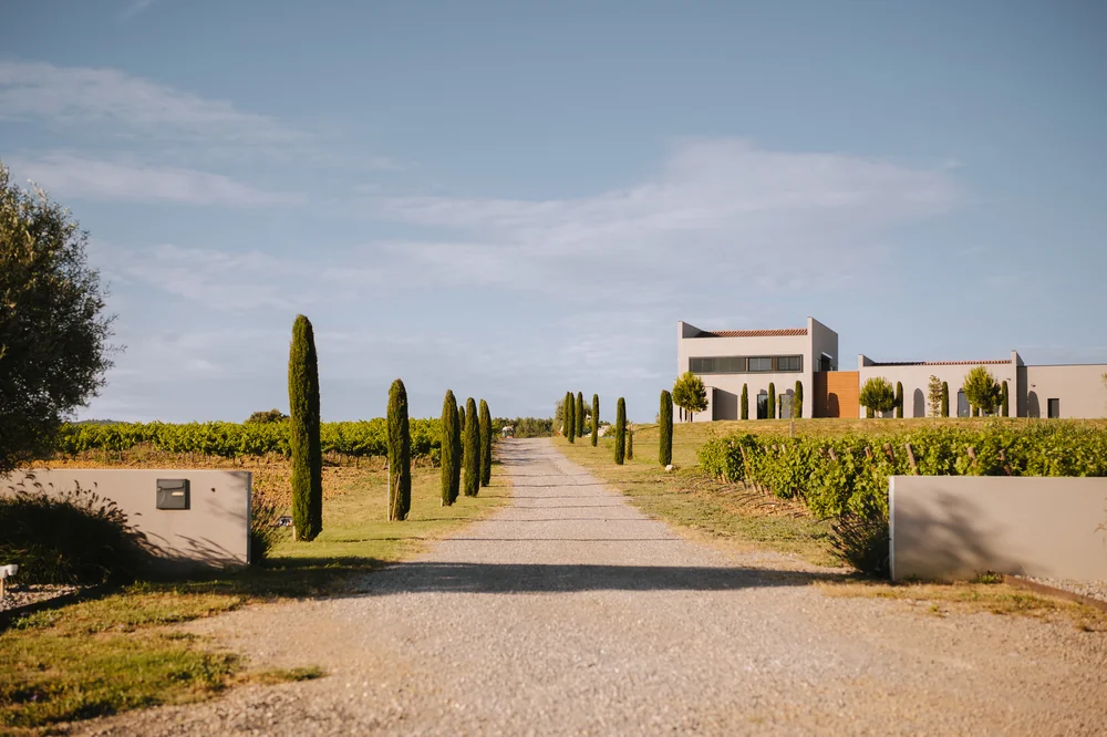Le domaine contemporain blanc en fin de batiment, precede d'une allee de cypres traversant les vignes, sous un grand ciel bleu. Composition elegante facon mas provencal moderne. ALT: 'Entree du domaine contemporain La Closeraie en Terrasses du Larzac'.