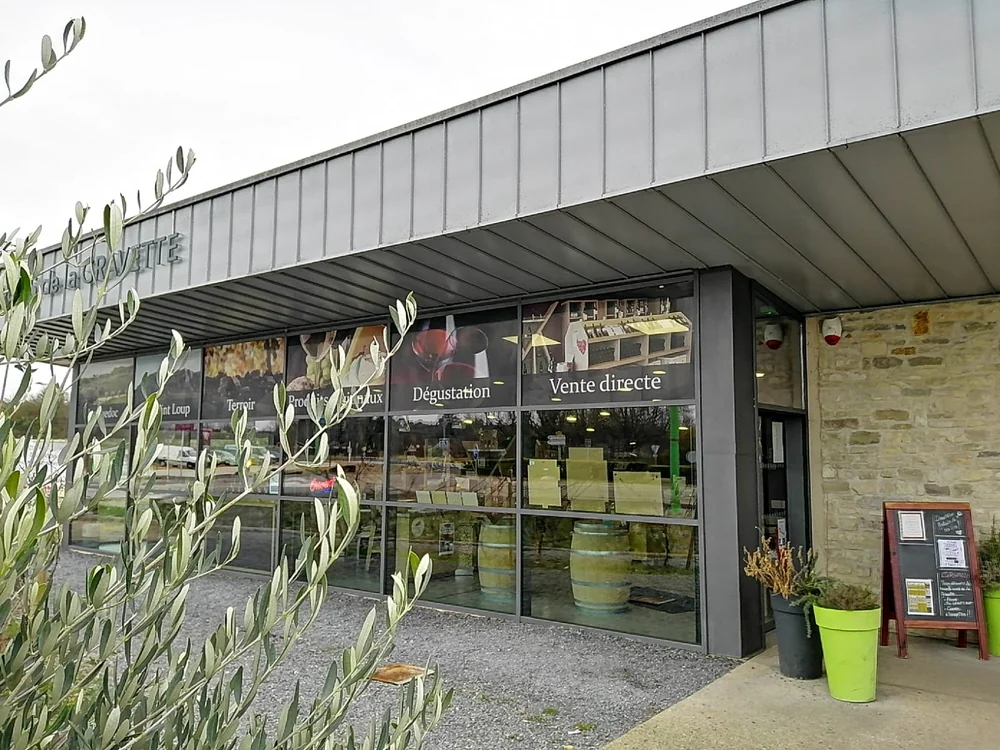 Devanture d'un caveau La Gravette (vitrine 'Degustation / Vente directe'), avec branche d'olivier au premier plan et ardoise. Montre l'enseigne et l'accueil.