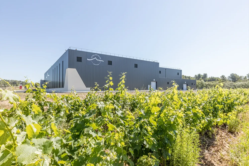 Le nouveau batiment de production/logistique (bardage gris anthracite avec le logo Pic) vu depuis une parcelle de jeunes vignes, ciel bleu. Montre l'outil industriel moderne de la cooperative.