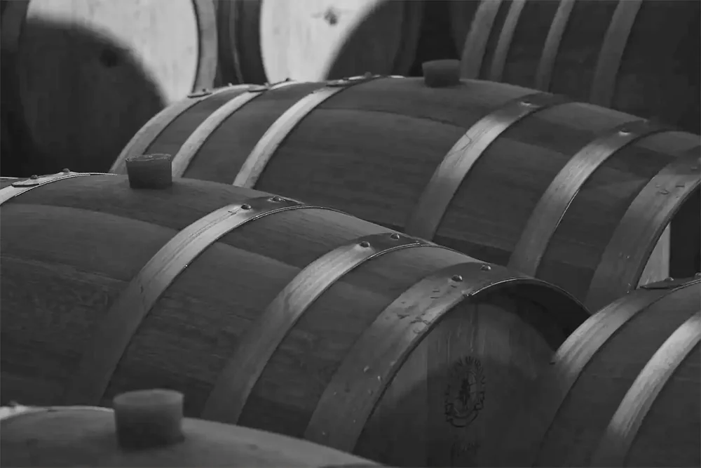 Rangee de barriques de chene dans le chai, photo en noir et blanc, ambiance feutree. Belle image de cave/vieillissement. (URL derivee de cave-assas-barriques-nb-1024x683.webp).