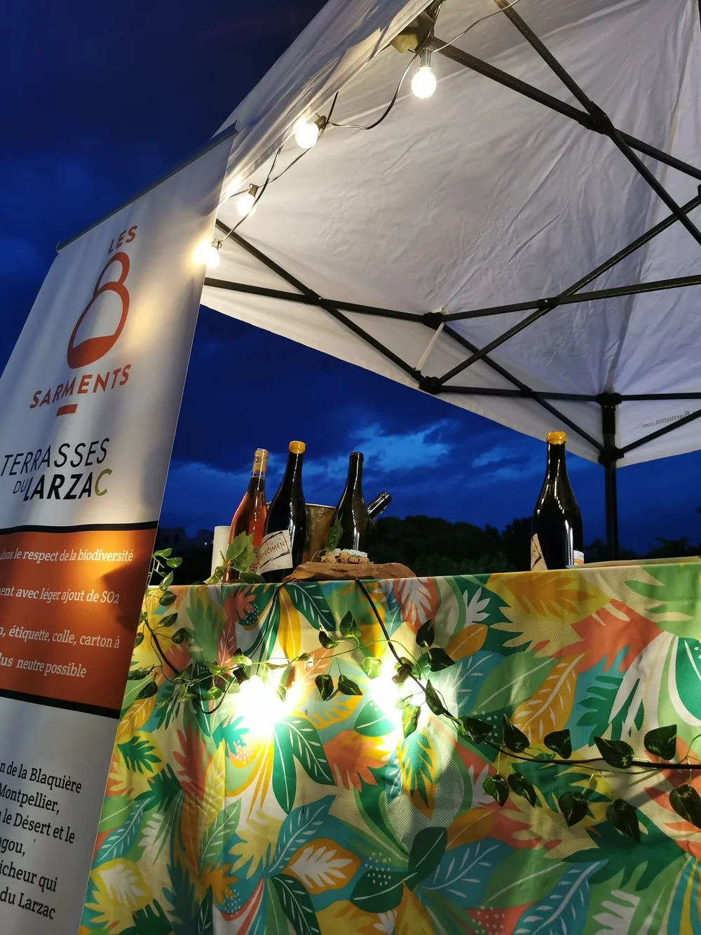 Stand de dégustation sous tente le soir : bouteilles alignées, kakémono Les 8 Sarments / Terrasses du Larzac, guirlande lumineuse, ciel crépusculaire. Ambiance salon/marché.