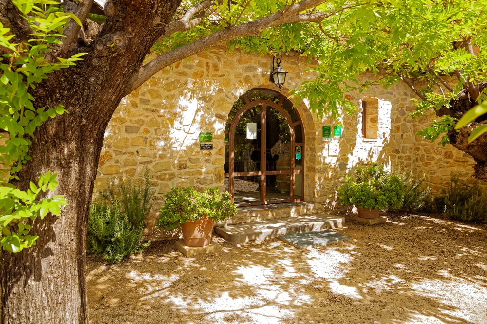 Entree du caveau/mas Haut-Lirou : porte voutee en bois dans un mur en pierre doree, cadree par un grand arbre et des pots de lavande, lumiere d'ete. Tres accueillant et charmant.