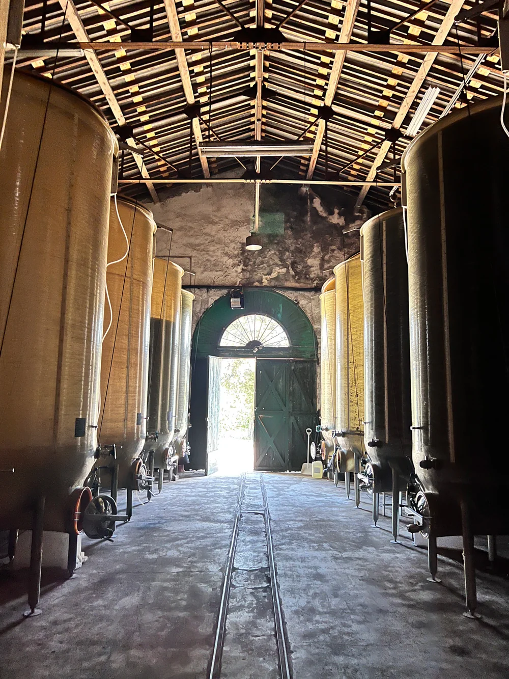 Cuverie ancienne du Domaine de Figaret : cuves en resine/inox alignees sous une charpente bois traditionnelle, rails au sol, grande porte voutee ouverte sur la lumiere. Caractere patrimonial.