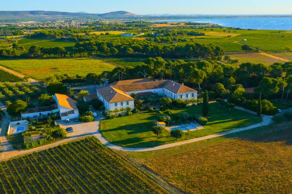 Vue aérienne du domaine Mas Neuf : grand bâtiment de mas entouré de vignes et d'oliviers près de la lagune/mer, lumière dorée. Belle vue d'ensemble du domaine.