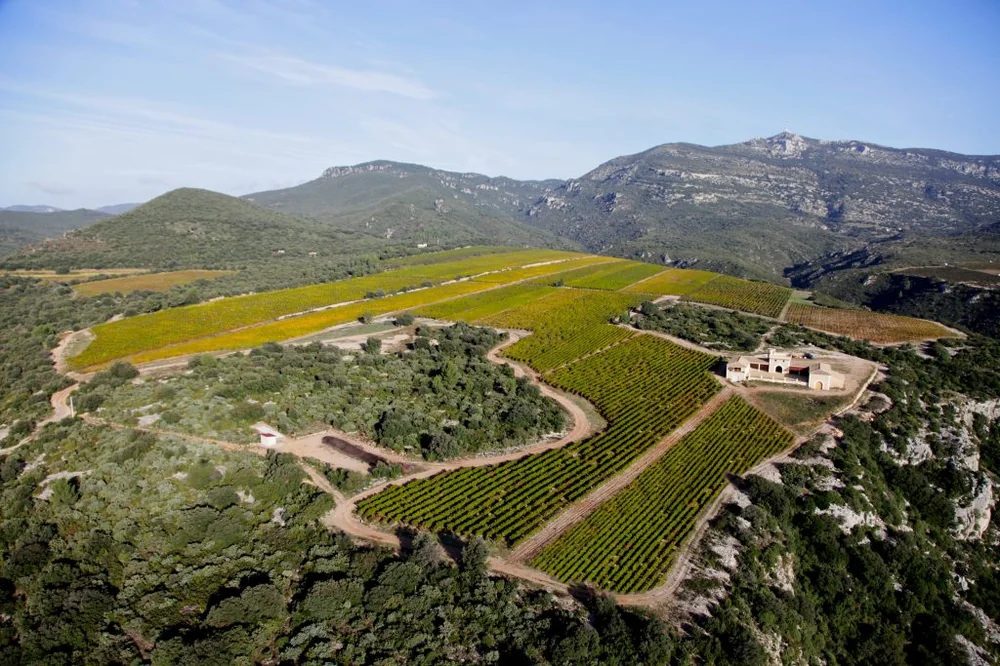 Vue aérienne spectaculaire du Domaine du Causse d'Arboras : parcelles de vignes en automne nichées dans la garrigue au pied des montagnes des Terrasses du Larzac, avec le mas. Panorama exceptionnel.