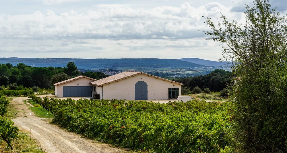 Le chai/batiment du domaine (construction recente, grand portail bleu) au milieu des vignes, avec les collines du Languedoc en arriere-plan et le chemin d'acces. Bon plan d'ensemble du domaine.