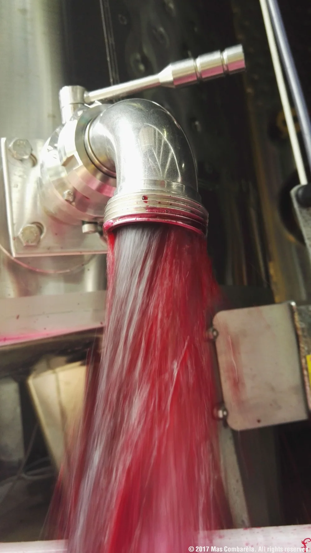 Jus de raisin rouge ruisselant en cascade depuis la vanne d'une cuve pendant la vinification (decuvage/remontage). Plan dynamique, couleur rouge vive saisissante.