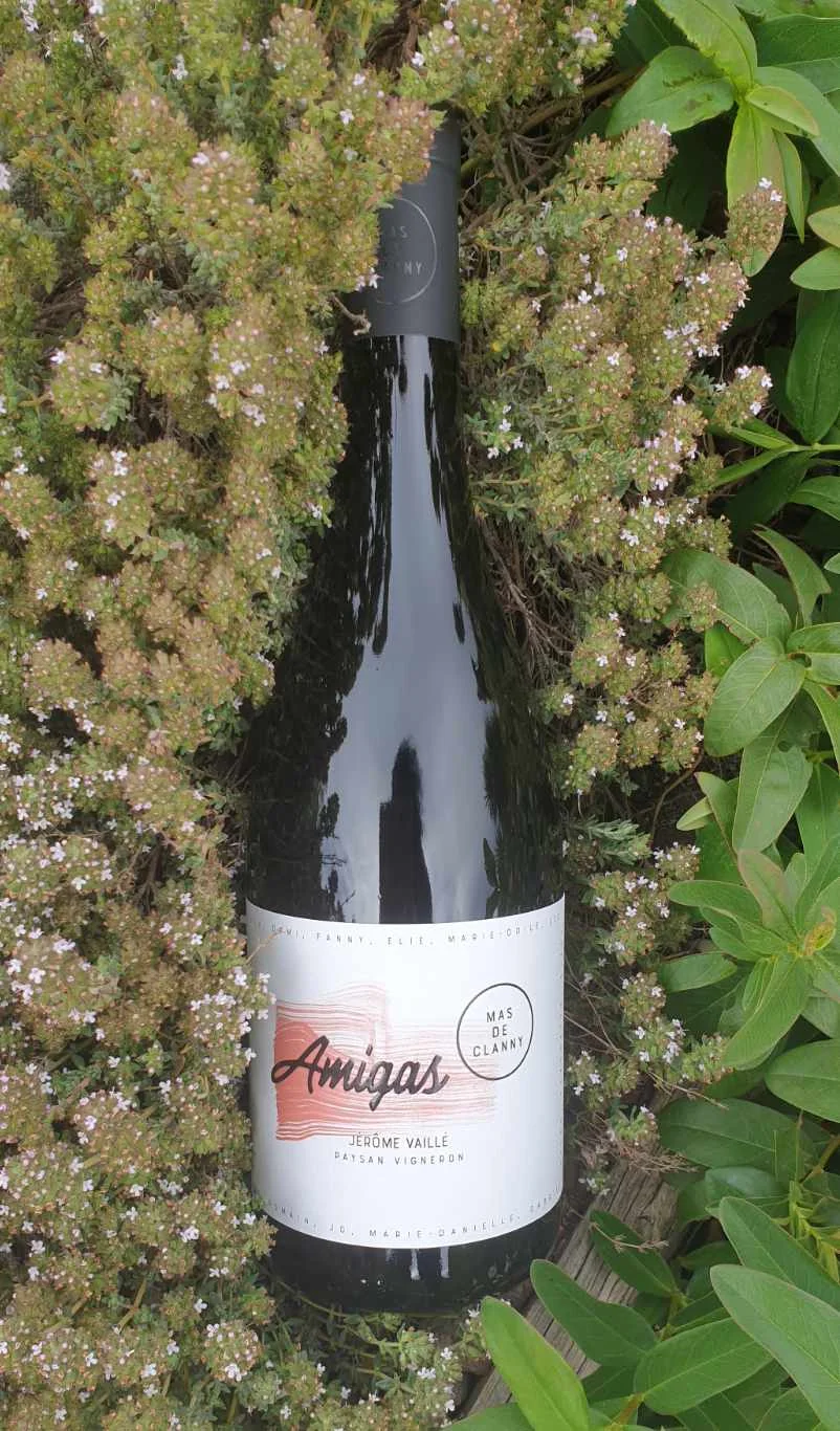 Tres belle photo lifestyle : bouteille Amigas (Terrasses du Larzac) couchee dans un buisson de thym fleuri de la garrigue. Packshot en situation tres valorisant.