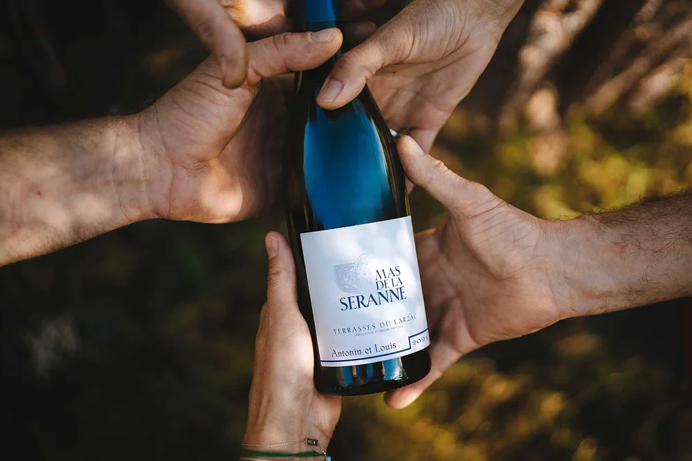 Plusieurs mains tiennent ensemble une bouteille de la cuvee Antonin et Louis (Terrasses du Larzac) dans une lumiere doree, fond de vigne en bokeh. Packshot lifestyle superbe melant l'humain et le produit.
