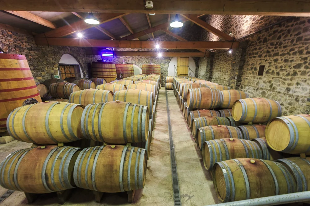 Le chai a barriques voute en pierre, longues rangees de futs de chene sous charpente bois. Tres belle ambiance de cave d'elevage.