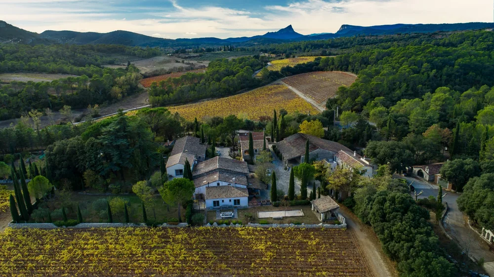 Vue aerienne spectaculaire du mas niche dans les vignes aux couleurs d'automne, avec le Pic Saint-Loup et l'Hortus a l'horizon. Panorama signature du domaine.
