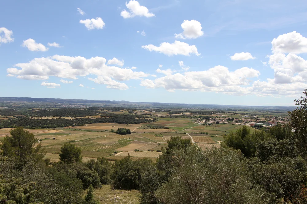 Grand panorama du terroir : vue plongeante sur la plaine viticole et les parcelles en mosaique, oliviers et garrigue au premier plan, collines a l'horizon sous un ciel d'ete avec nuages. Tres haute resolution (5184x3456). Magnifique vue d'ensemble du terroir de Montpeyroux.